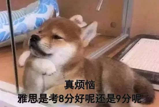 如何高效学习雅思?分享30天雅思7分速成技巧,记得收藏!