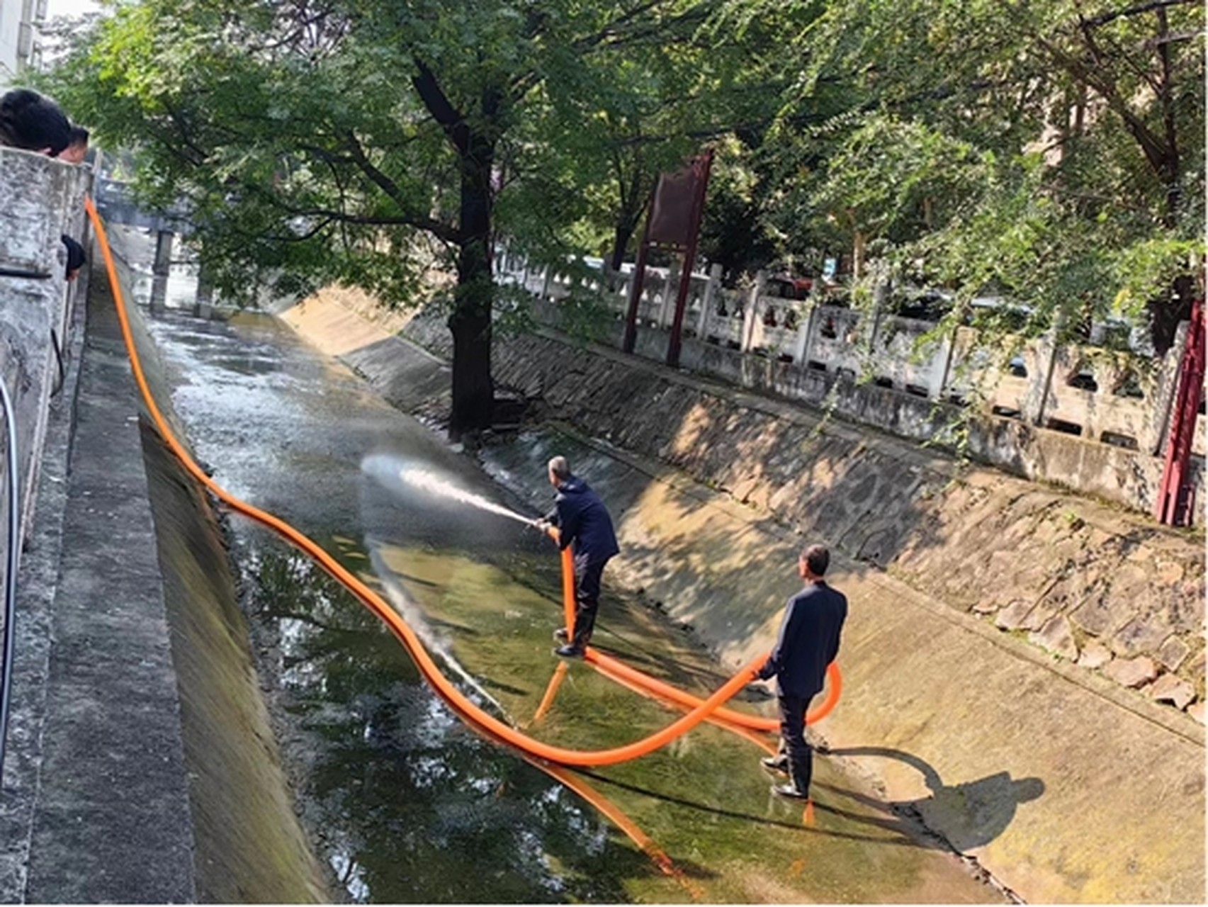 信阳市羊山新区城管局:持续整治黑臭水体 实现河清岸绿景美 城市黑臭
