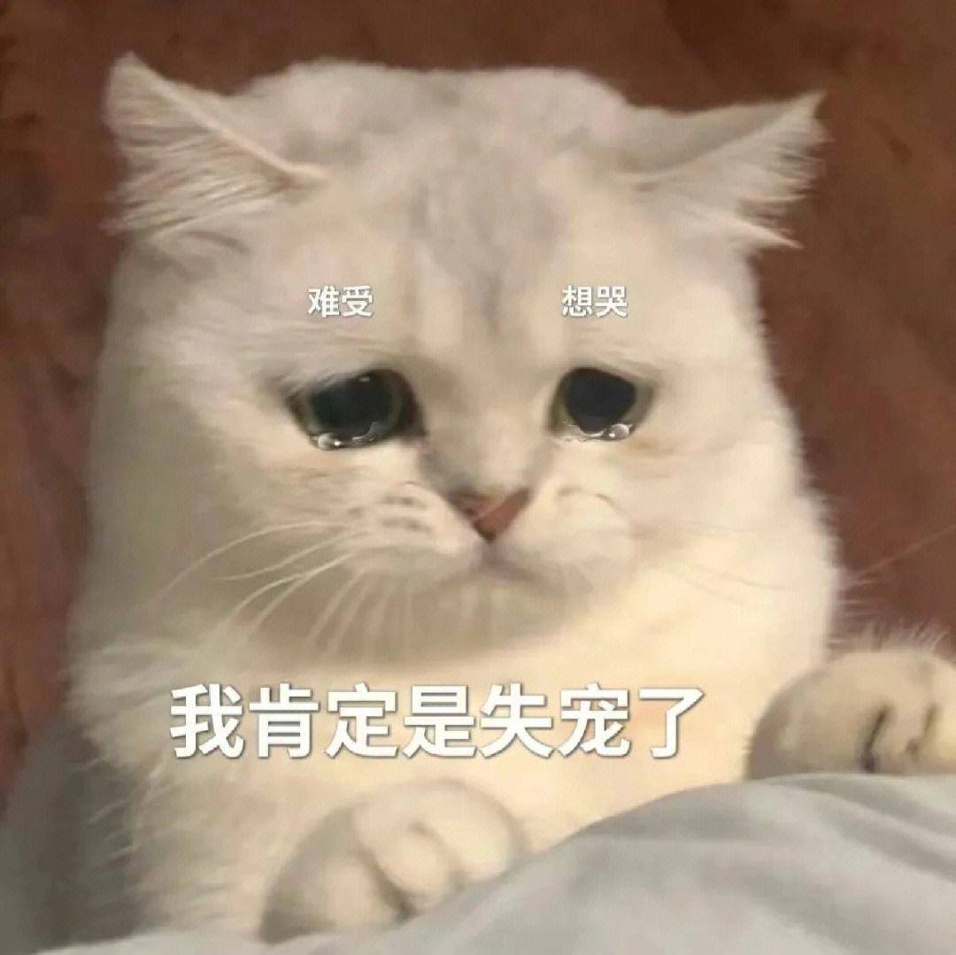 笑话十条:陪女友遛狗,发现一漂亮妹子,我忍不住偷偷瞄了几眼