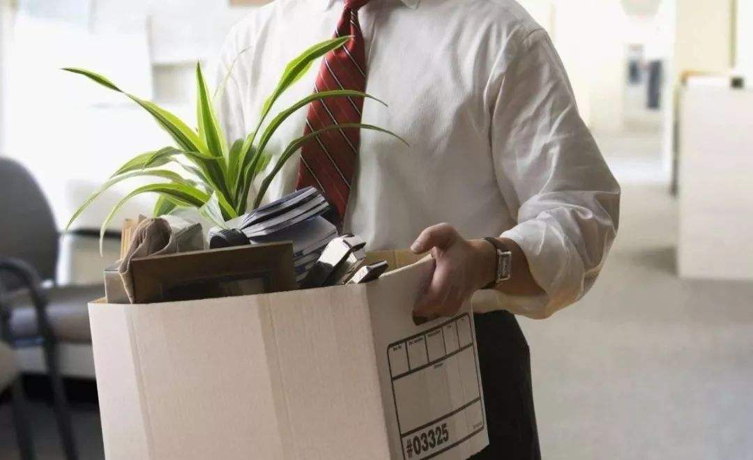 回顾大专生李文怡:从3万人中突围敲开微软大门,大专也能人上人