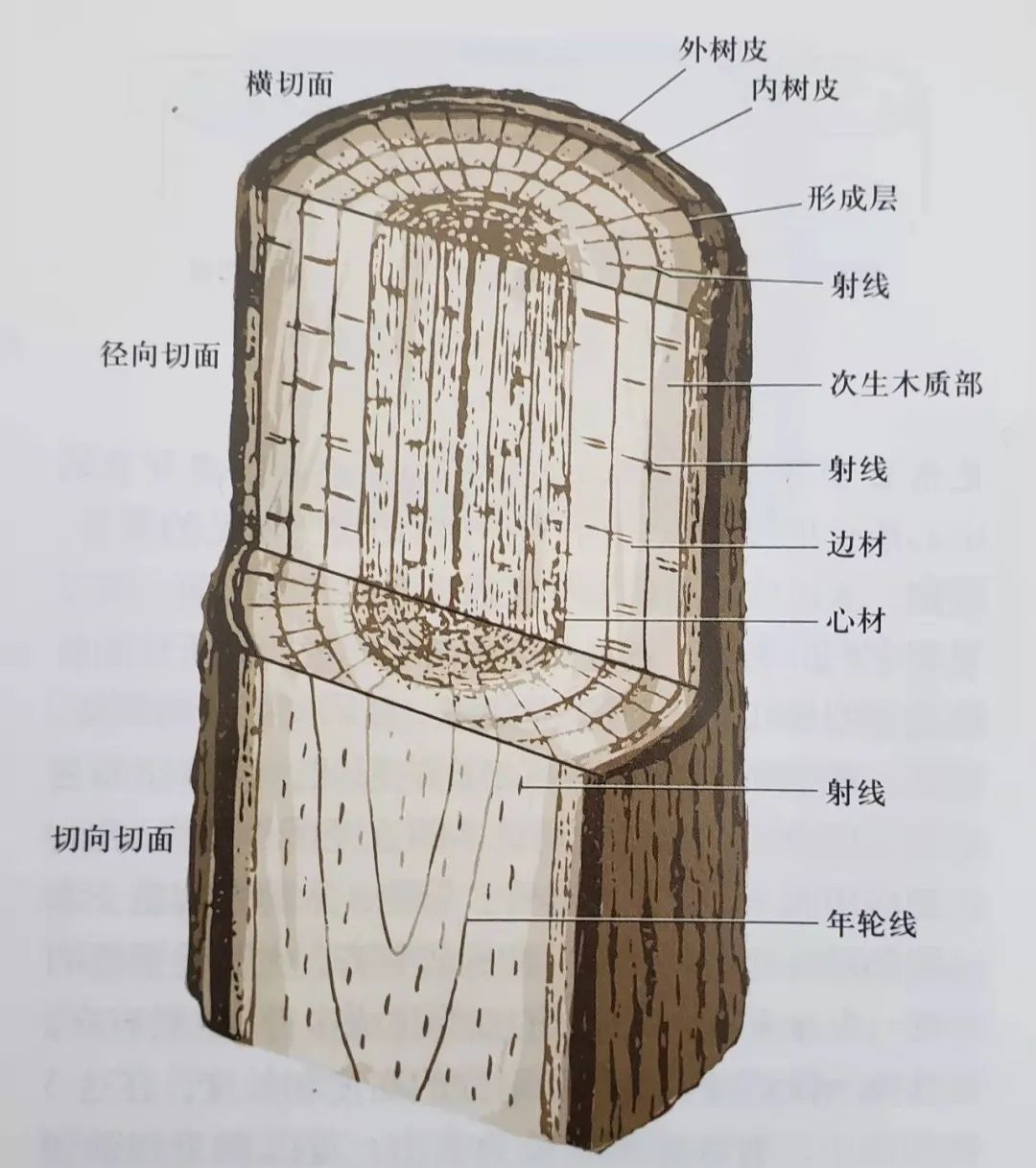 爱绿一起线上课堂