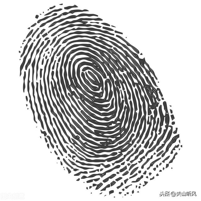手指头的指纹为"簸箕",顾名思义,指纹的形状就像簸箕的形状一样,与"斗