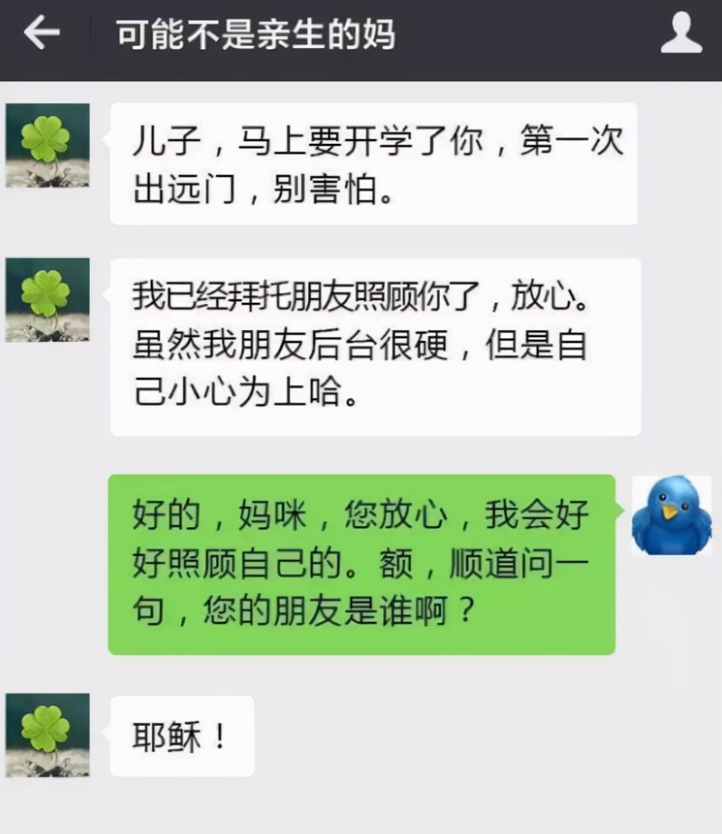 大学生晒和父母聊天记录,看后笑到捧腹,网友:快去做个亲子鉴定