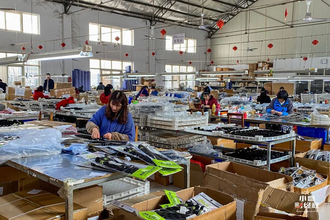 打下全球假发市场半壁江山许昌霸气