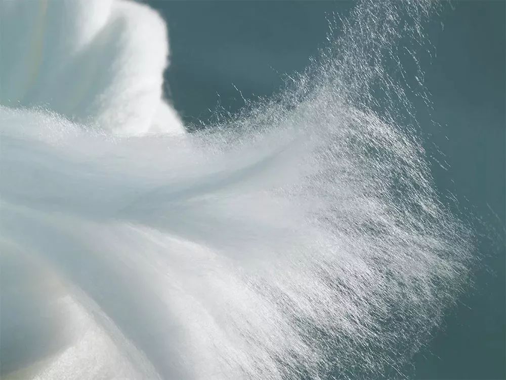 天丝绒是什么面料