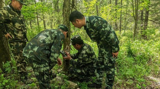 完达山一号"溜达回家",这意味着什么?为何还是单身虎