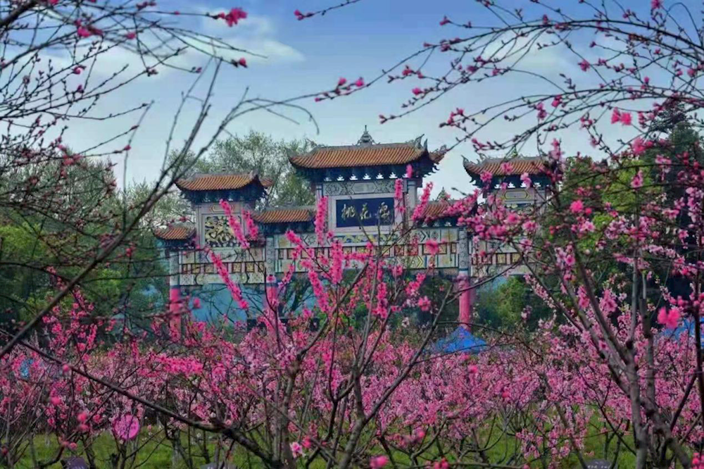 麦盖提县旅游景点
