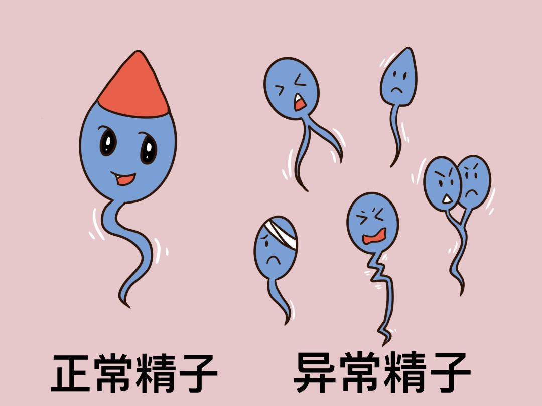 仁济科普 | 无精子症就不能拥有自己的孩子吗?答案:当然不是!