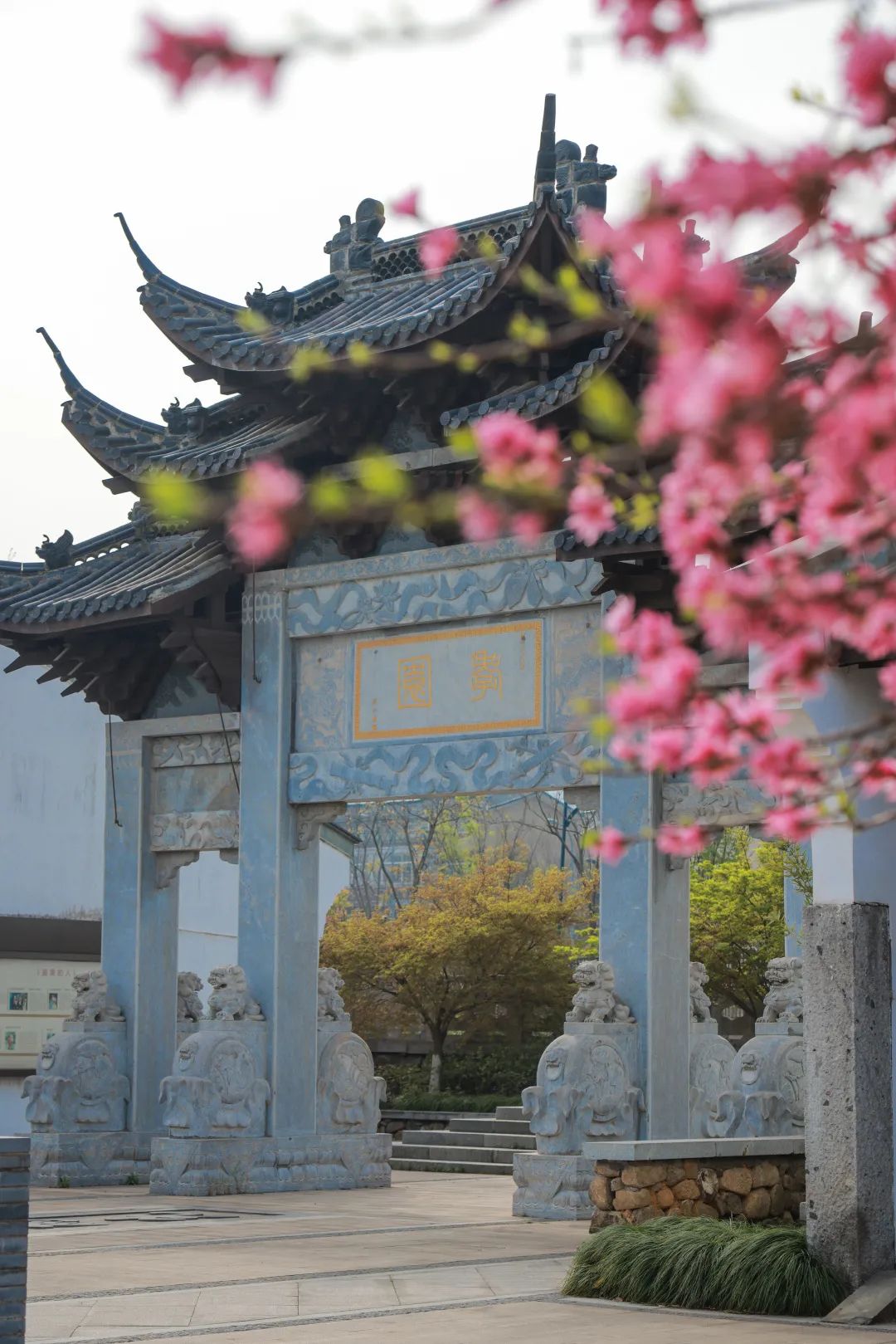 第九届皋亭观桃节直播剧透来啦邀您共赴春日云盛宴