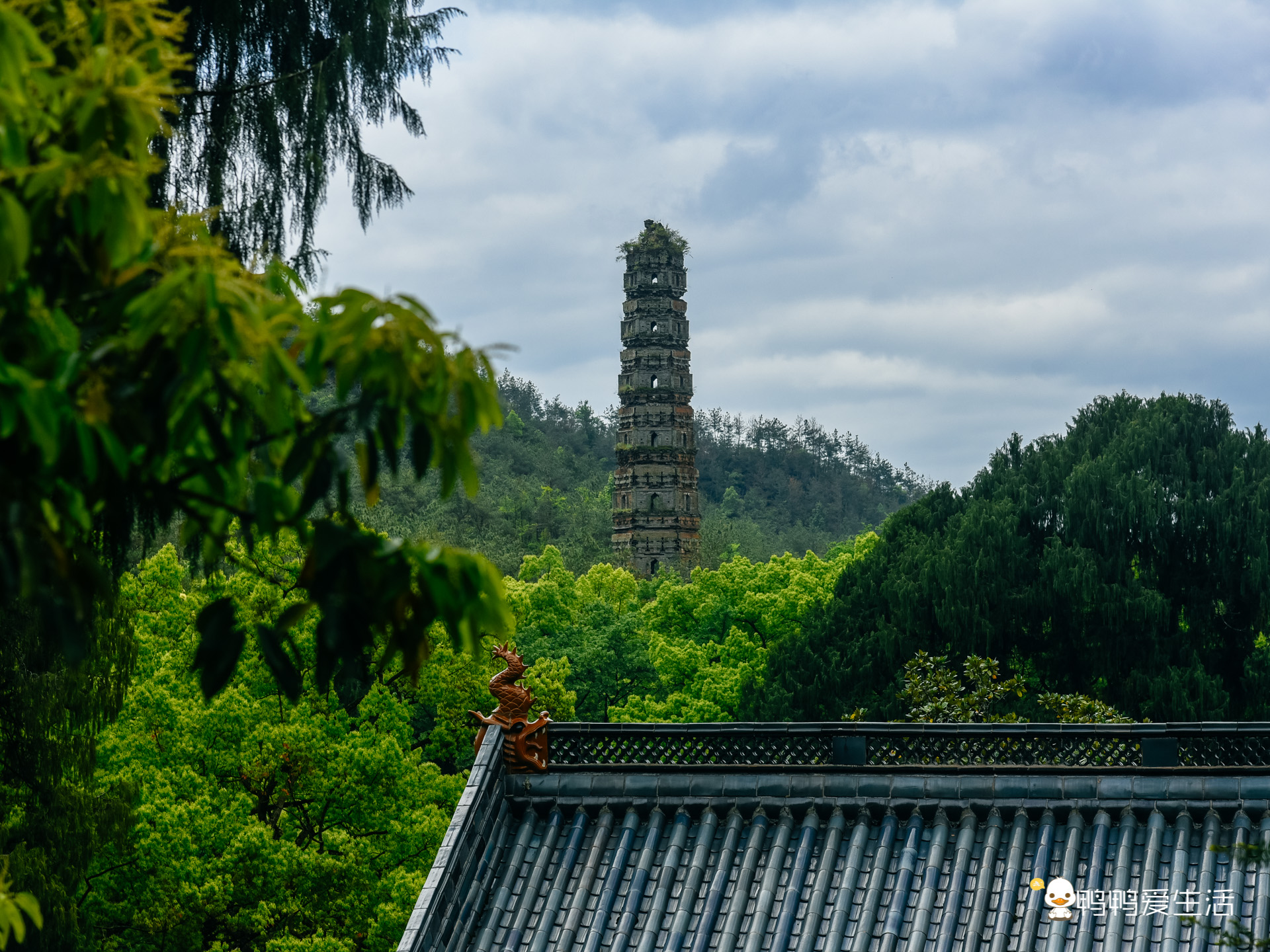 台州国清寺介绍图片