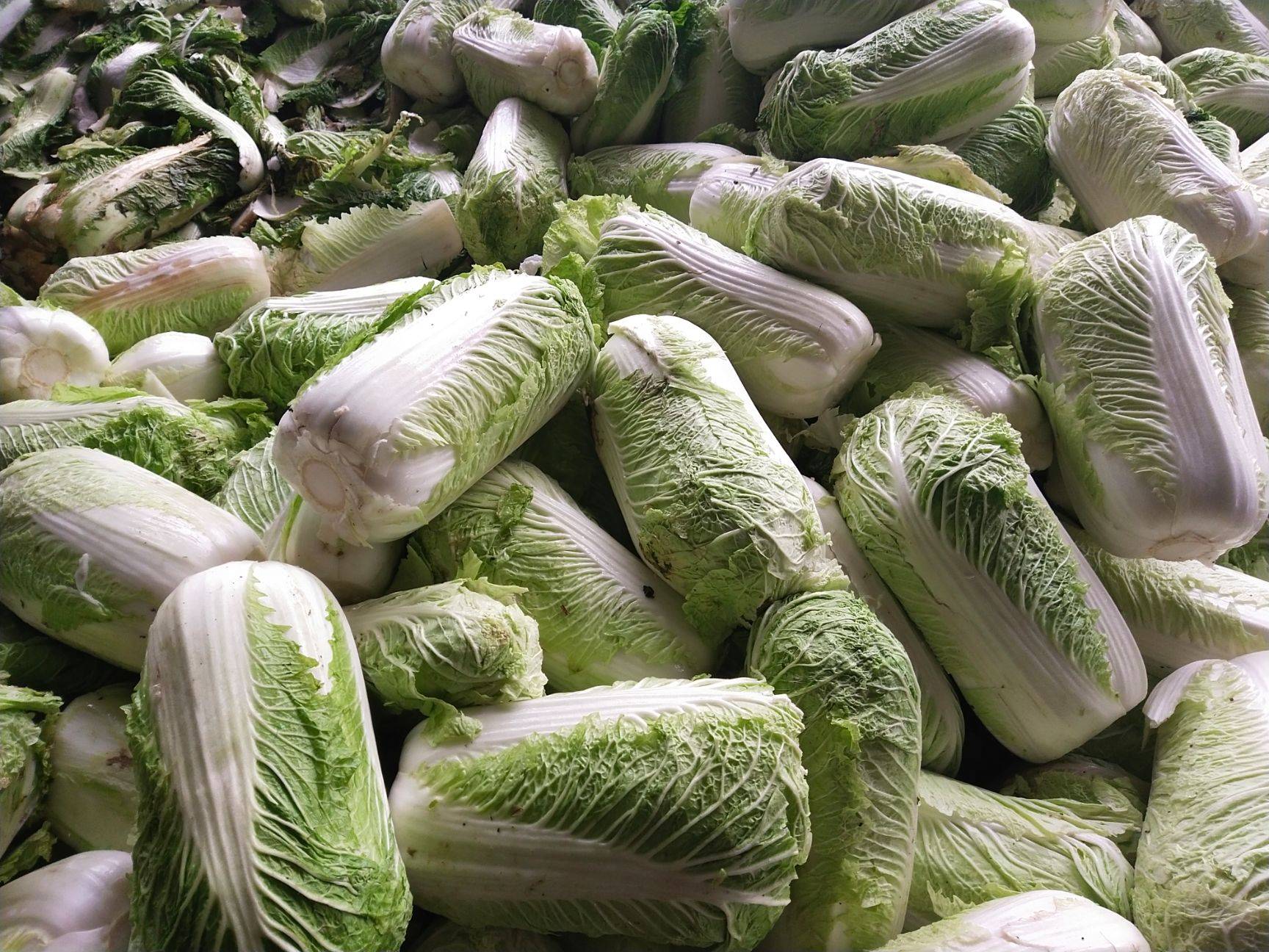 喷洒过甲醛的白菜,一般有这3个特点,提醒家人:不要买错