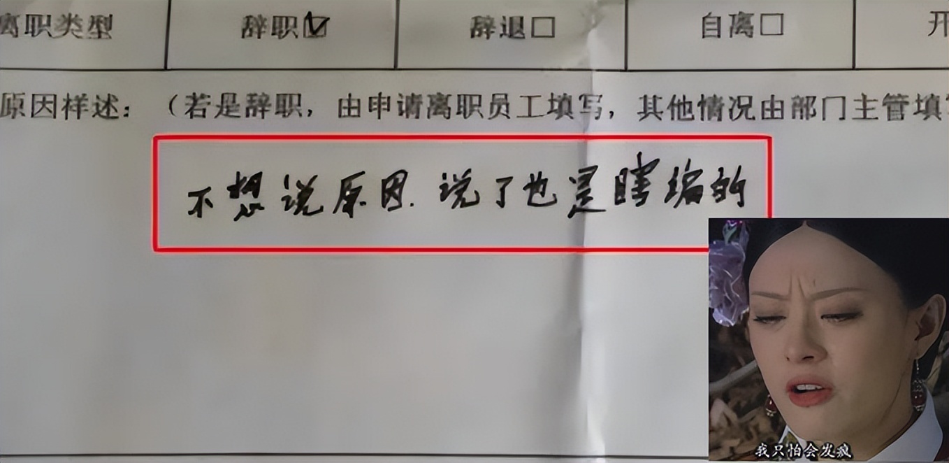 "我考上税务局了,00后大学生辞职原因花样百出,老板不敢不从