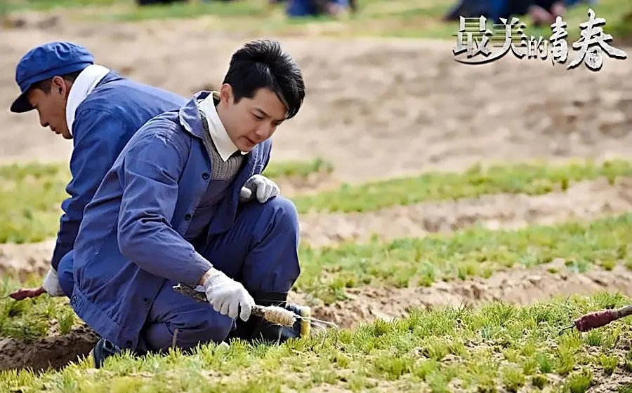 刘智扬演过的电视剧图片