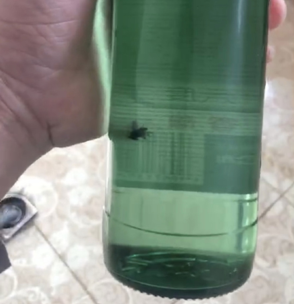 红星二锅头"苍蝇酒"上热搜,公司回应称假酒,低端酒现打假难题