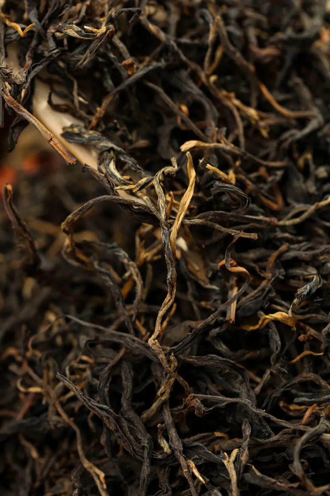 共享大原料仓|一级金丝,二级毛峰,冰岛南迫古树红茶到货入库