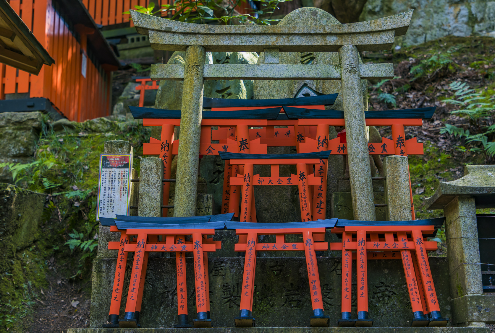 日本最震撼的景点,京都千本鸟居,万座红色鸟居共筑时光隧道