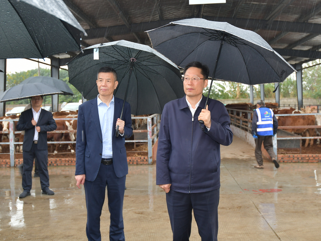 刘玉杰:大力实施绿色食品产业"双千亿"计划和肉牛振兴计划