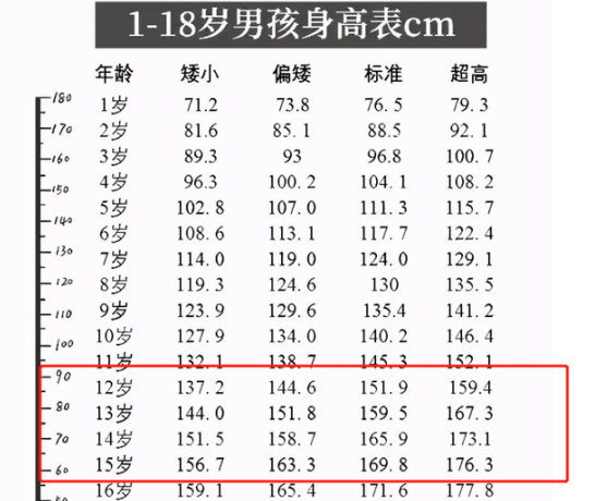 14岁男生正常身高图片