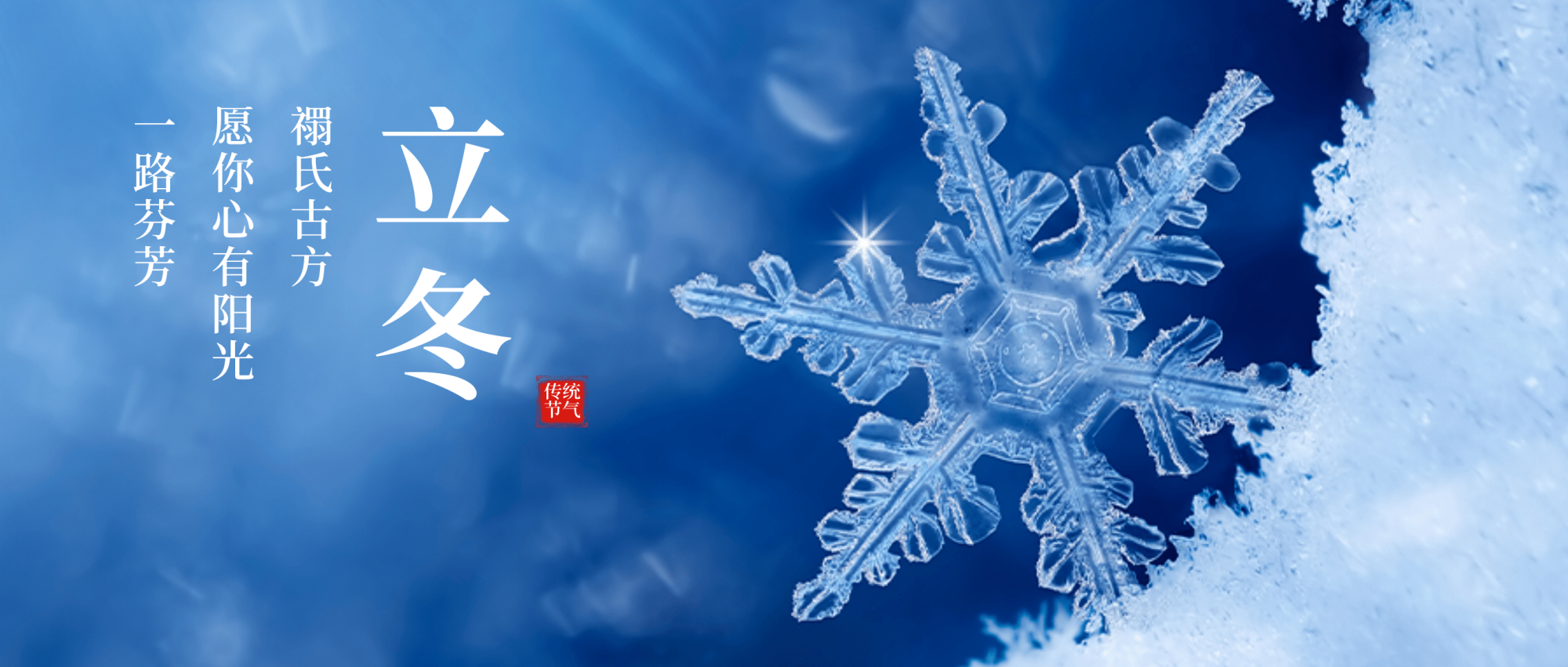 禤氏古方 ▏冬已至,万物藏