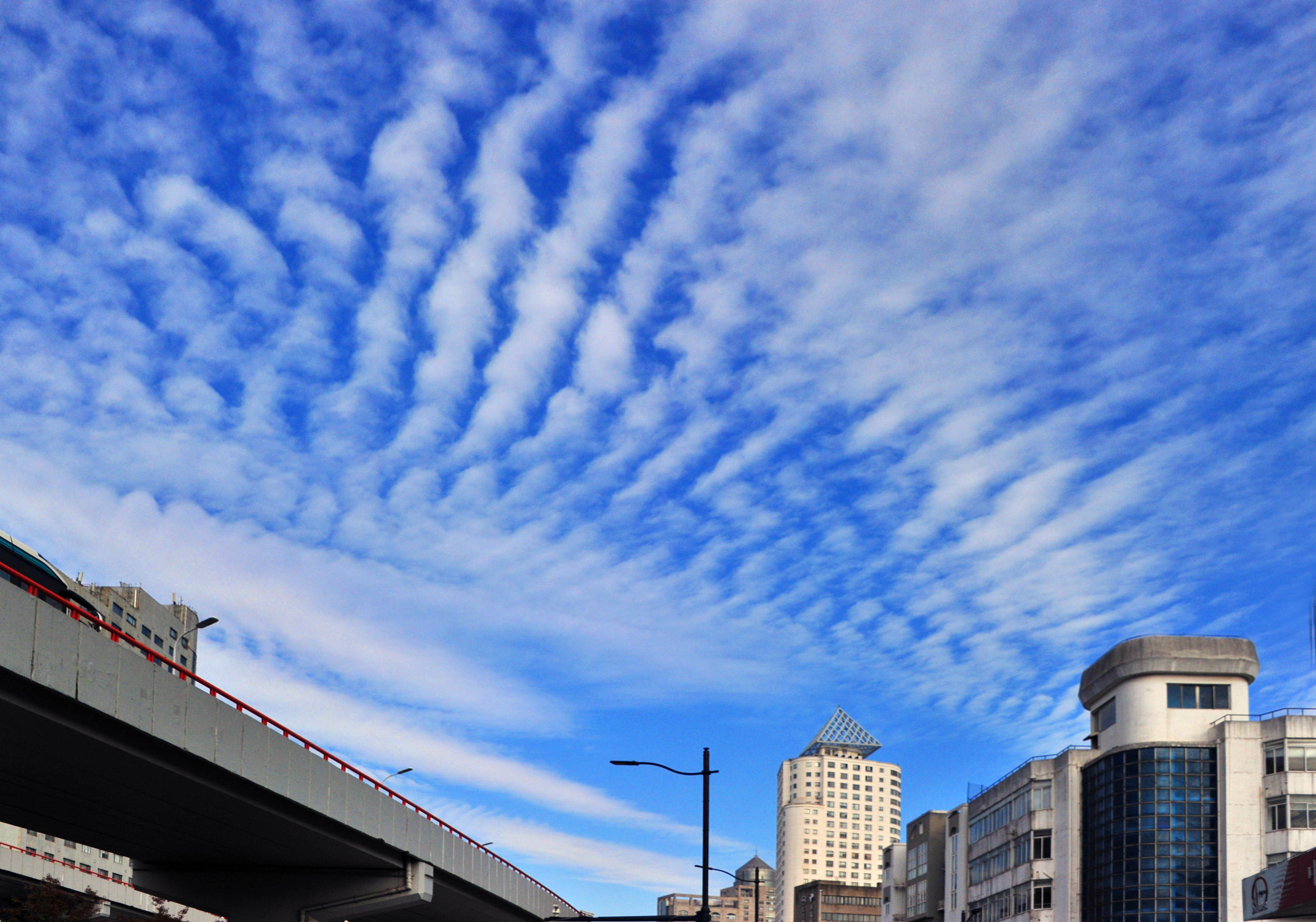 街拍黄浦丨高积云点缀魔都天际线,上演云端视觉大戏