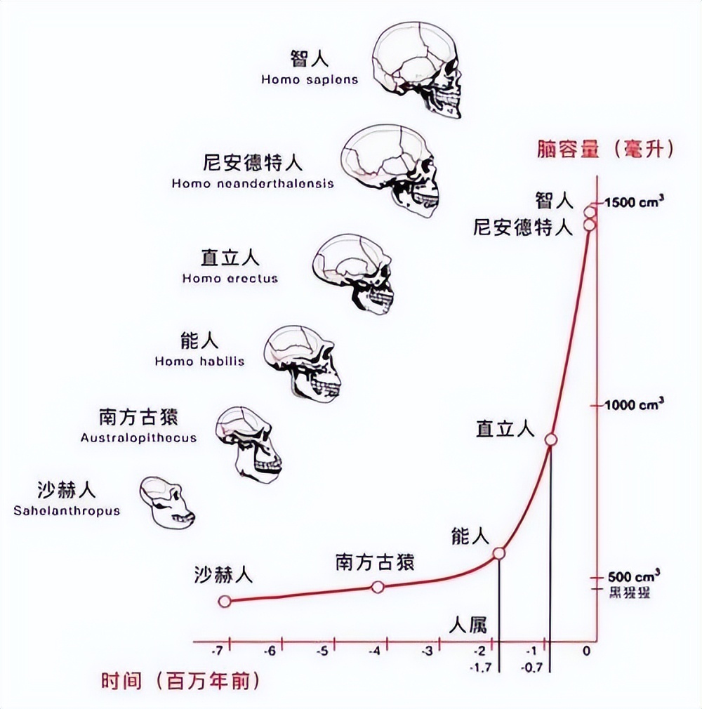 在人类进化的过程中,关于后代的繁衍,男女双方谁的付出更多