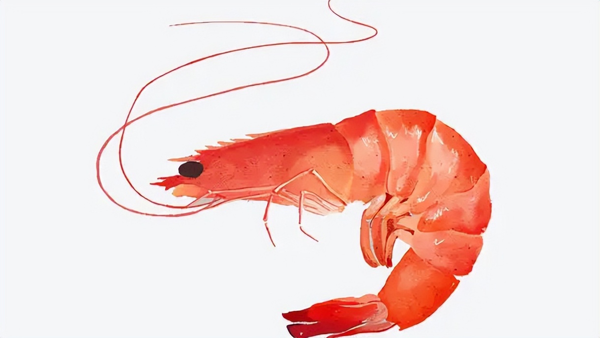 虾背上的黑线是什么,能不能吃?