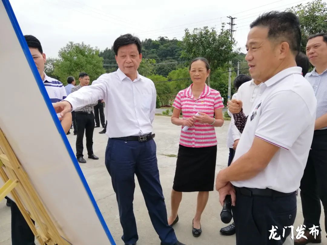 市人大常委会到龙门县检查 "四好农村路"建设议案办理情况