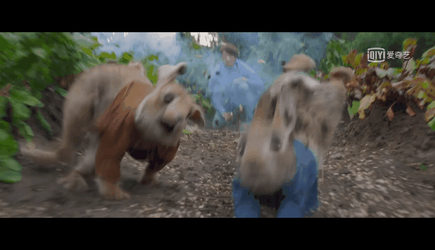 《比得兔2》:虚构故事的欢乐,映衬出了现实的残酷