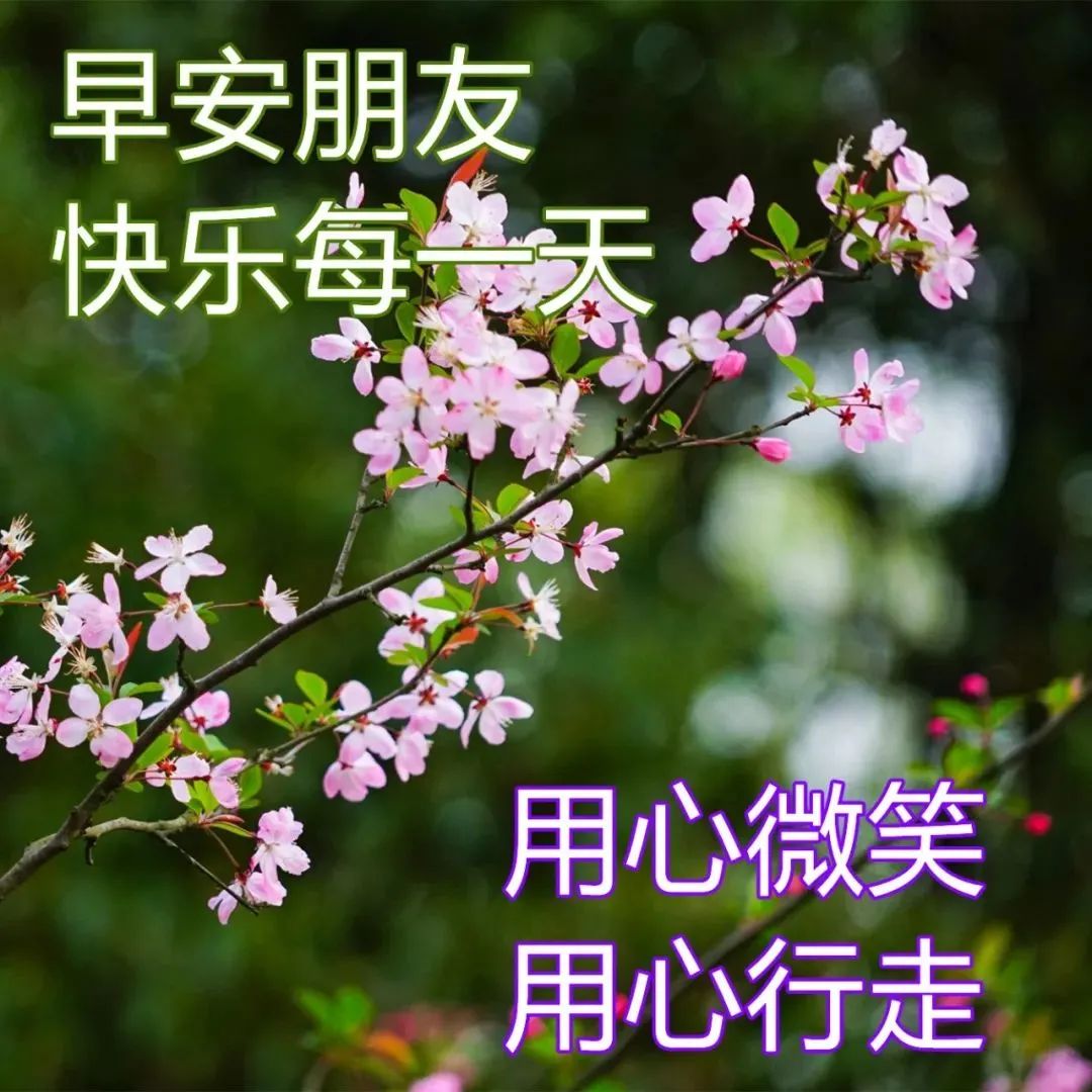 特漂亮的真人美女早安动画表情图片带字,早上好表情祝福语图片