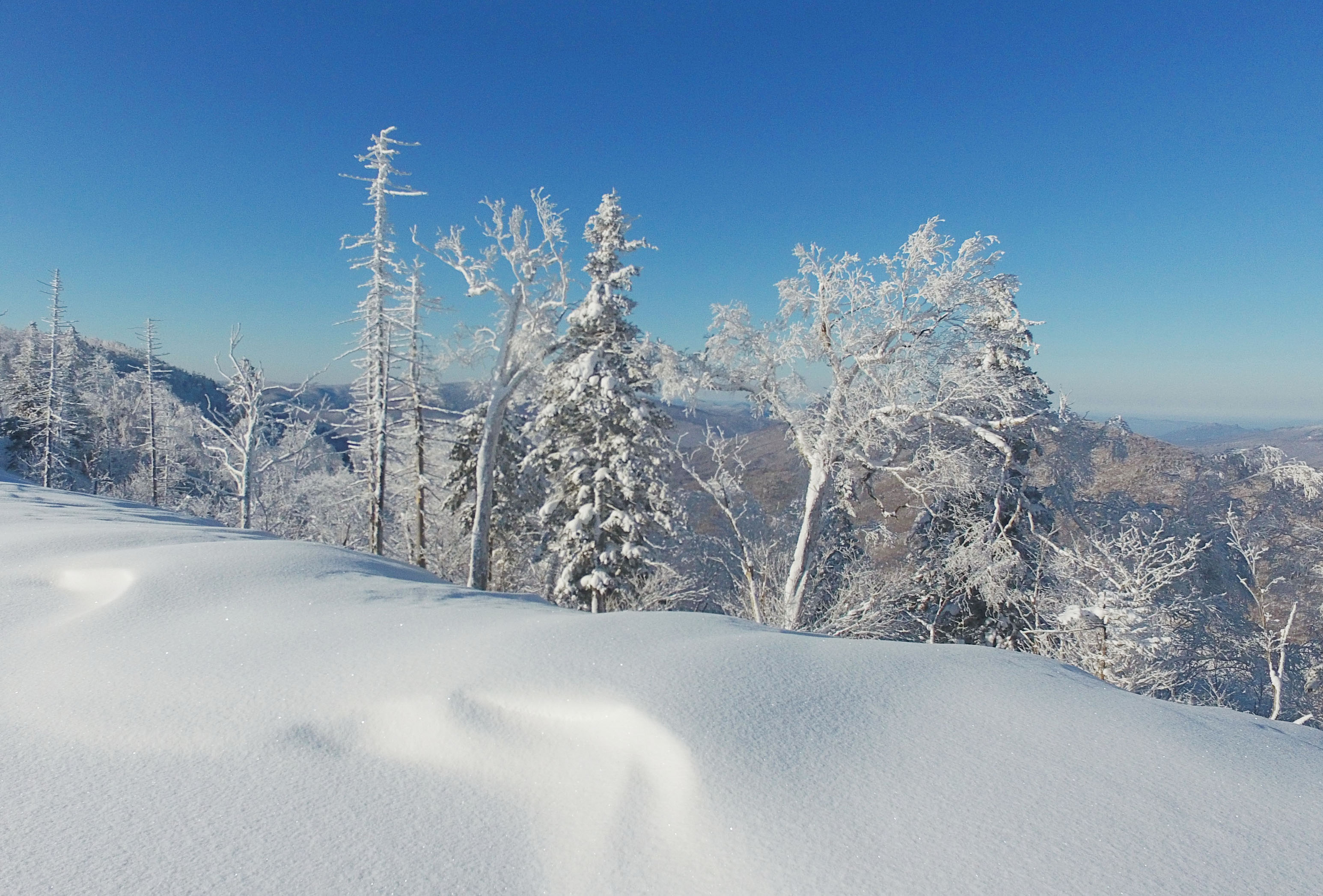 雪乡国家森林公园冬日美景