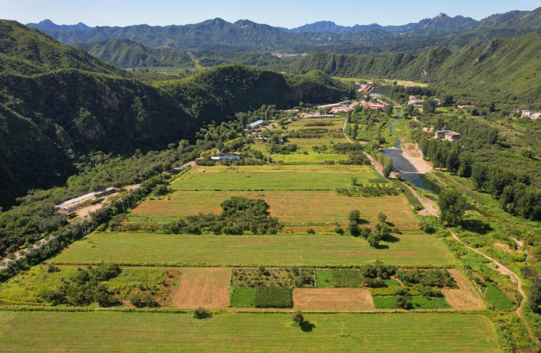 九渡河村图片