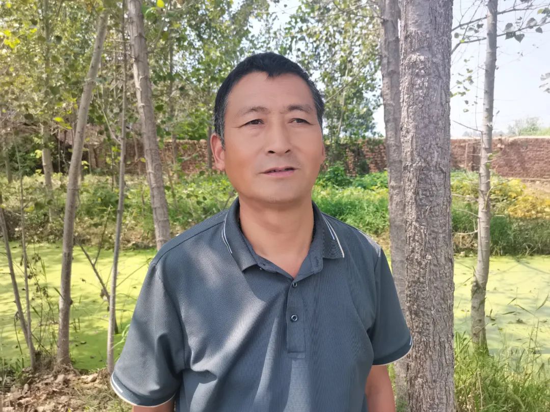 曹县仵楼镇:故道生态产业兴 乡村振兴谱新曲