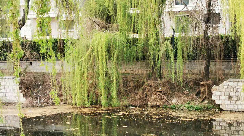 曲阜万佳沂河园小区大门西侧小沂河南侧石头脱落