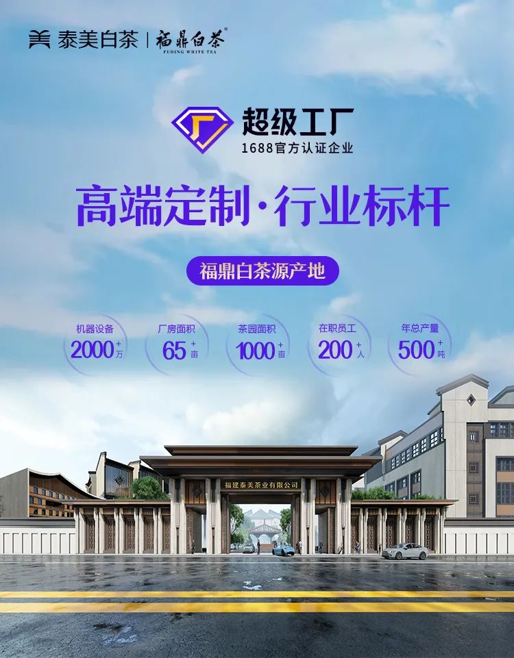 "强联手,共发力"泰美白茶成为首个1688认证福鼎白茶超级工厂