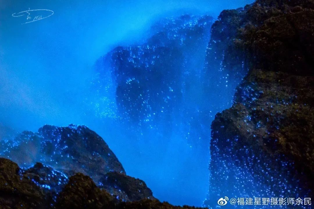 "蓝眼泪实况"小程序上线首日大获热捧!这个夏天,追"泪"就靠它了!