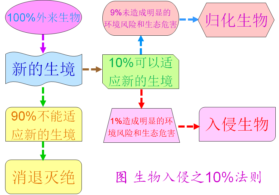 生物入侵之10%法则