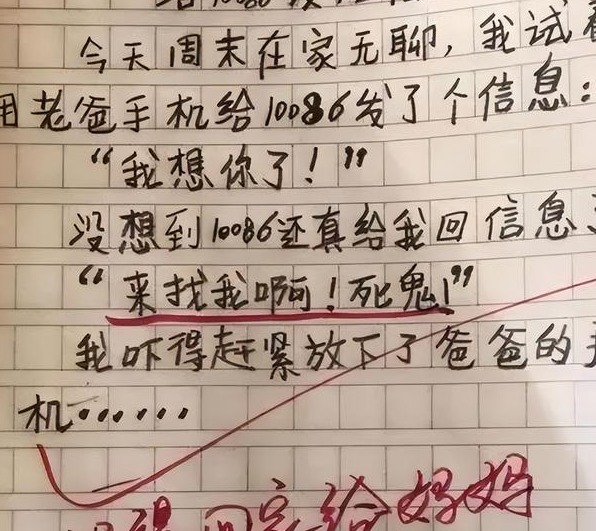"爸爸看手机找美女"!小学生"记仇本"火了,妈妈:好孩子