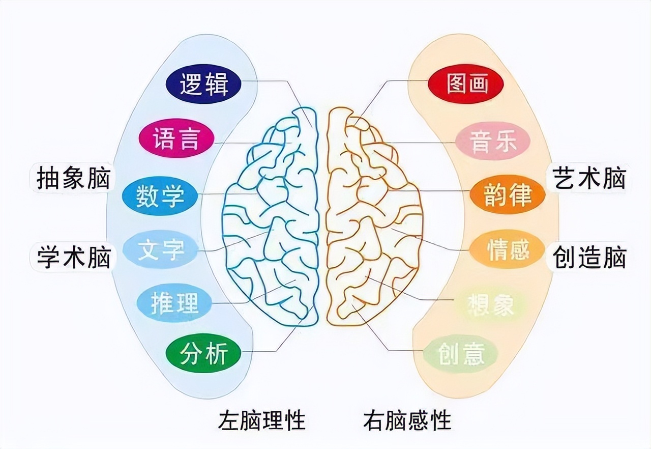 直觉思维才是本质思维