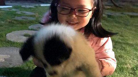 给9岁的章子欣买各种礼物,食物和玩具,明显是为了讨得小女孩的欢心