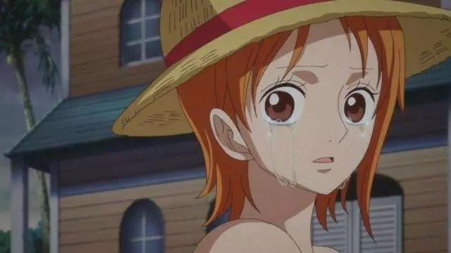 娜美的身世是什么?