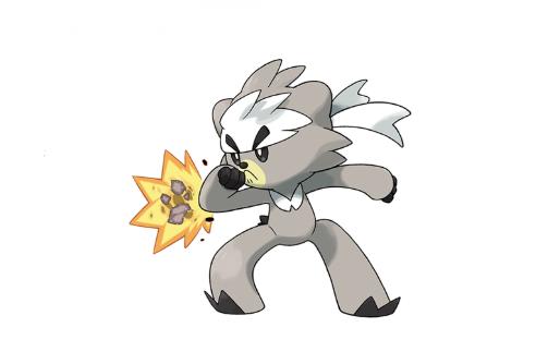 《宝可梦》图鉴891:日积月累不断进行锻炼的精灵——熊徒弟