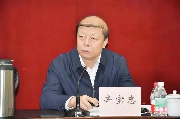 网红校长辛宝忠的儿子是谁?他和高颜值的妻子究竟发生了什么事情