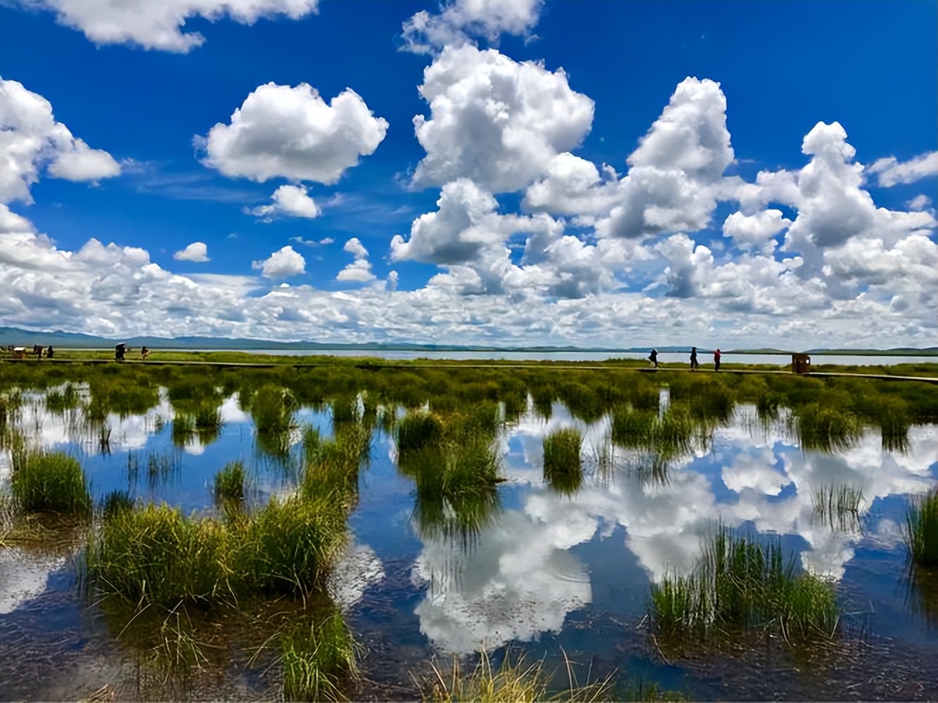 这里是中国特美丽的沼泽地,碧空如洗,让人心驰神往