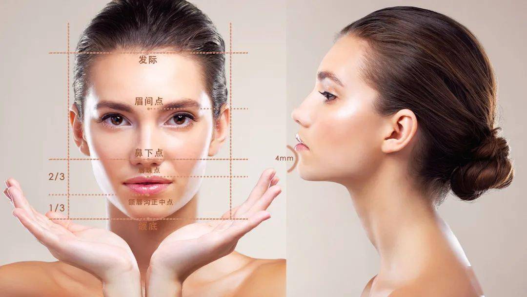 想要变美,你是否了解面部美学标准呢,不如来看一看