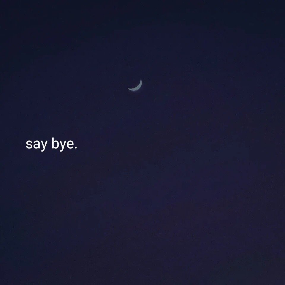 文字背景图|无爱一身轻