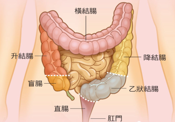 查出结直肠癌肝转移就没救了为何会发生肝转移医生有话说