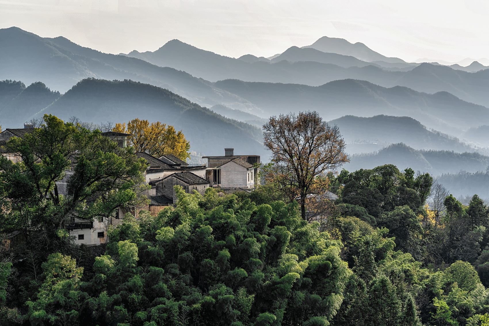 庄子故事:昭文之鼓琴也,师旷之枝策也,惠子之据梧也