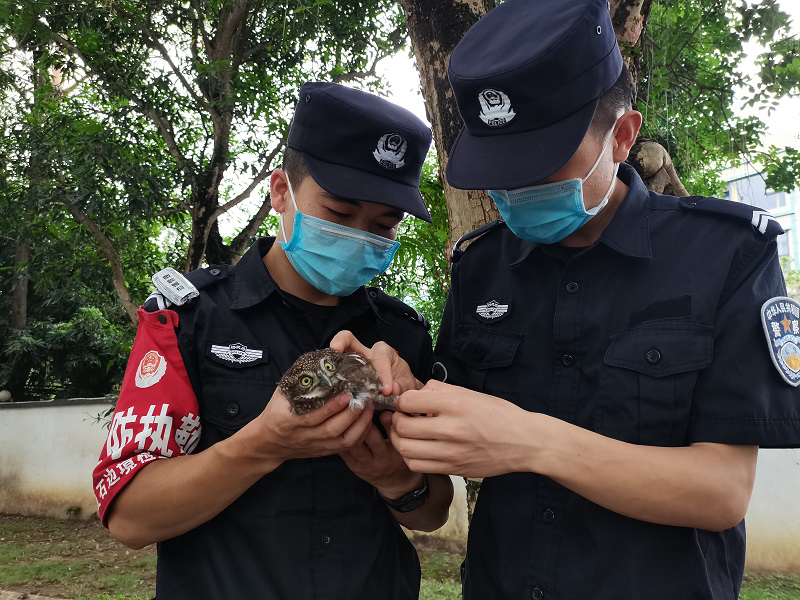 夏石边境检查站图片