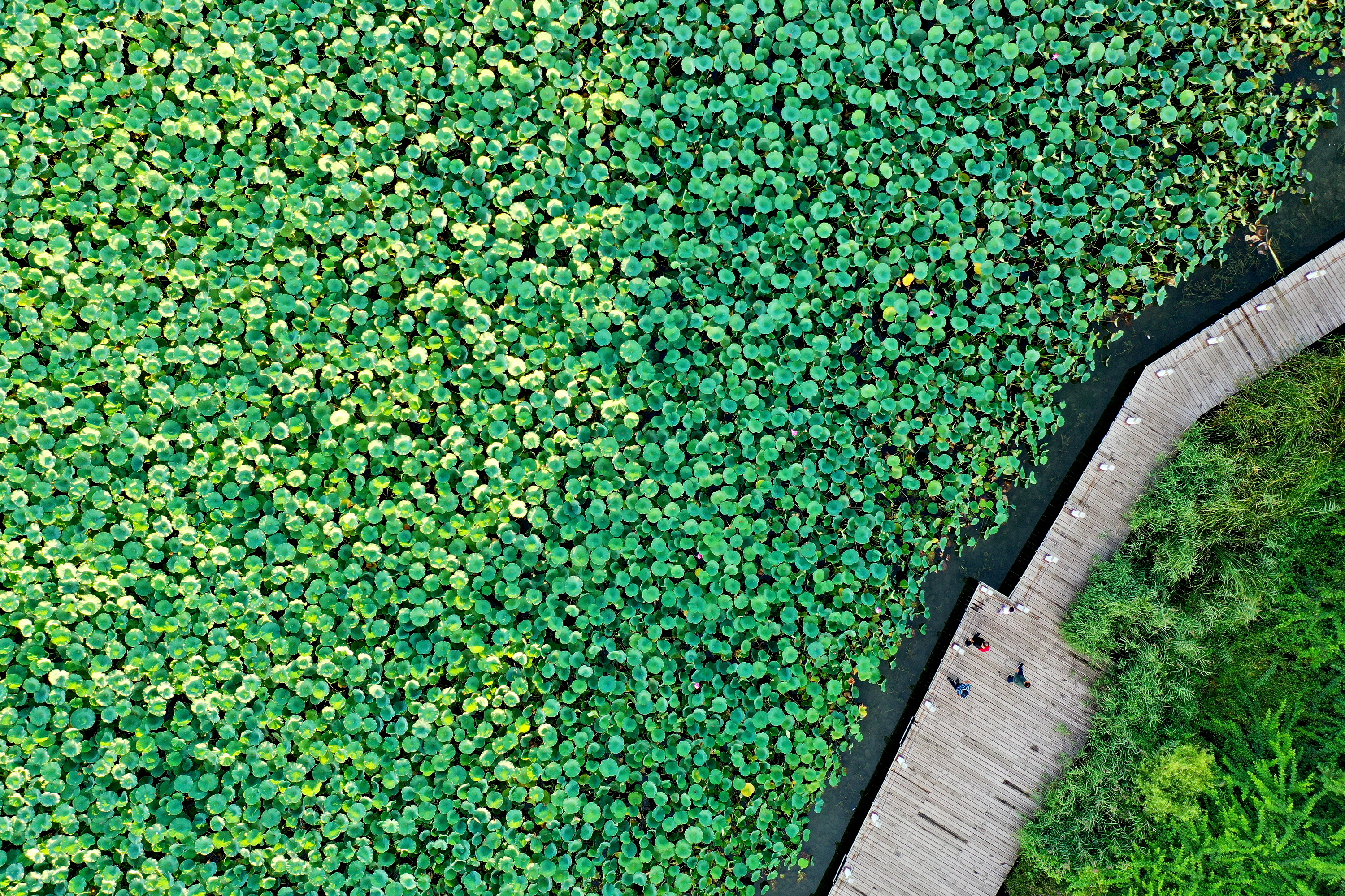 河北迁安:打造三里河生态走廊(3)