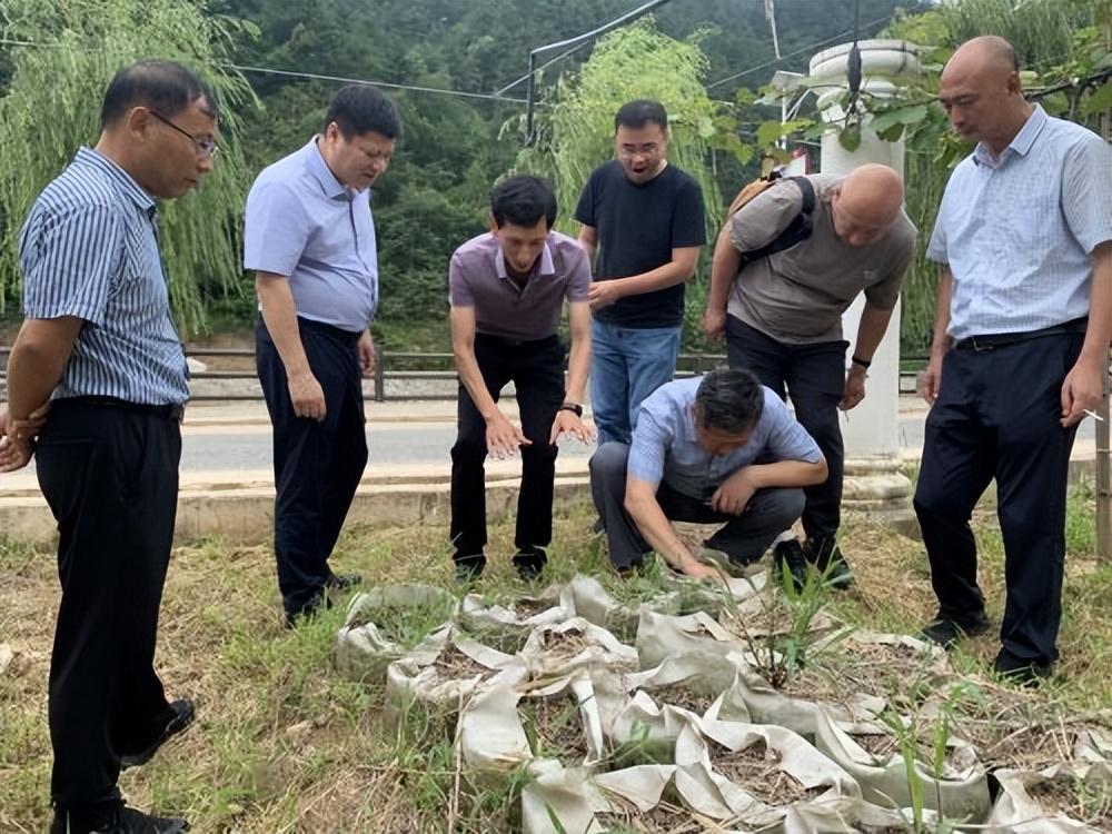 井泉龙王赞图片